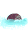 brstani2.gif